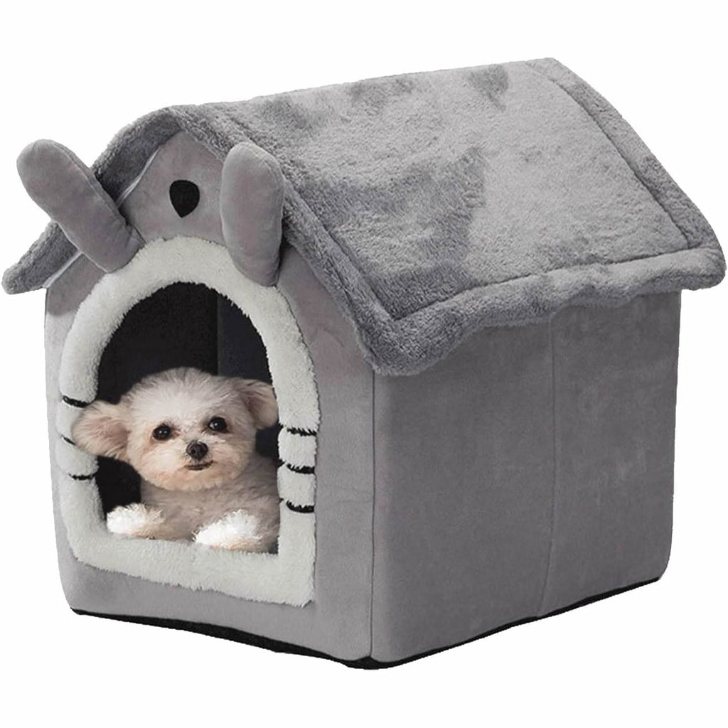 Casa Perro Gato Mascotas