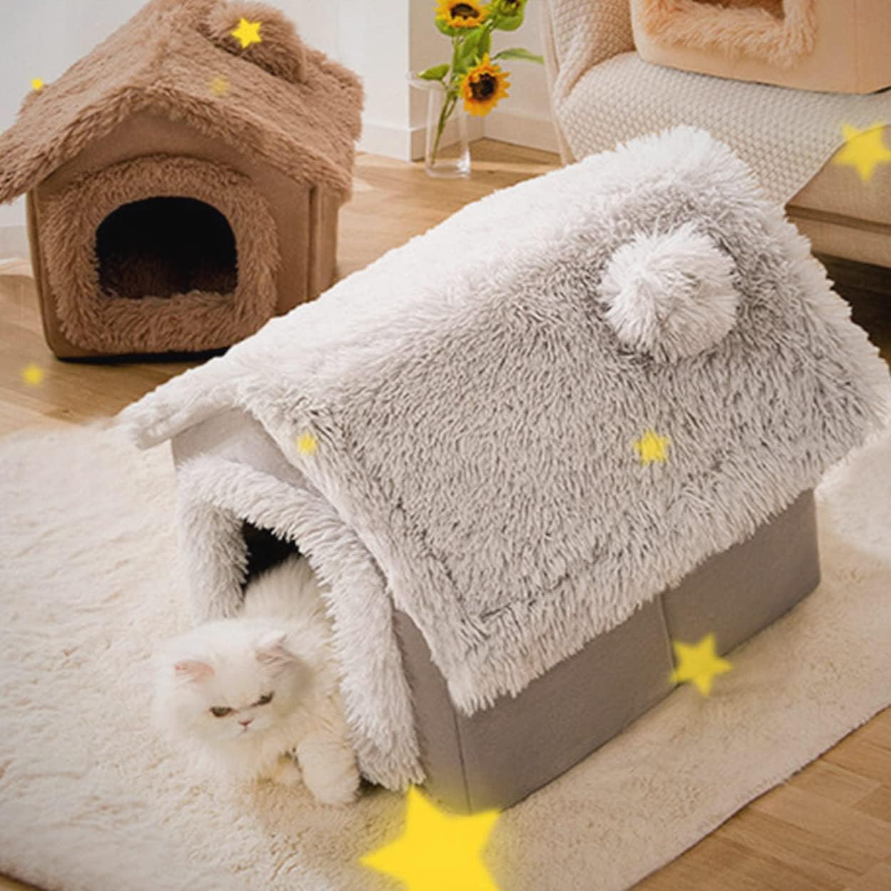 Casa Perro Gato Mascotas