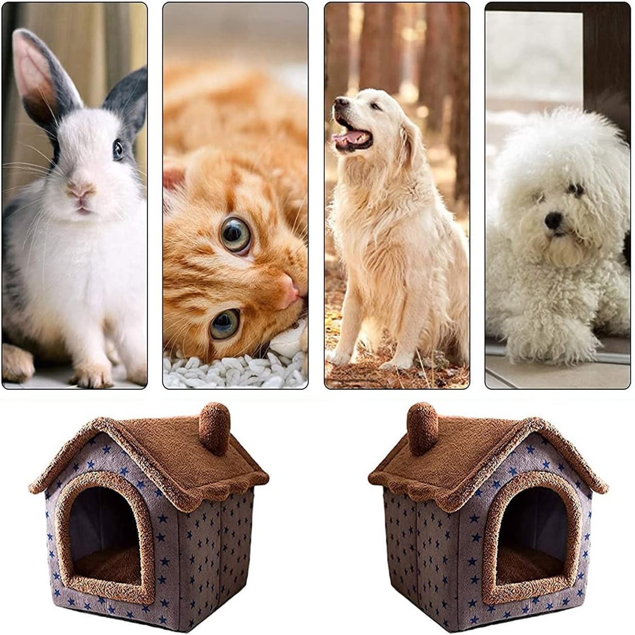 Casa Perro Gato Mascotas