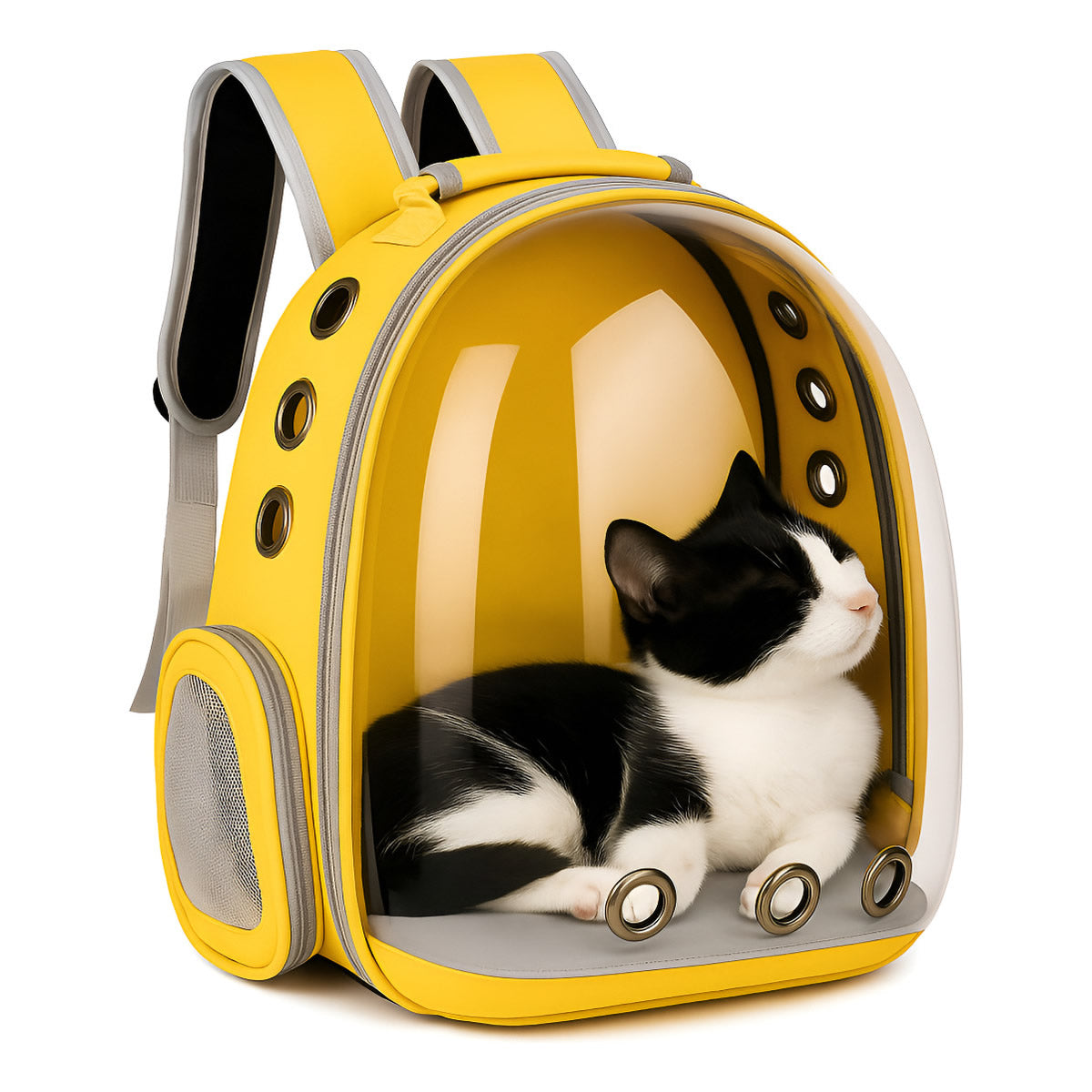 Mochila de Paseo Gato