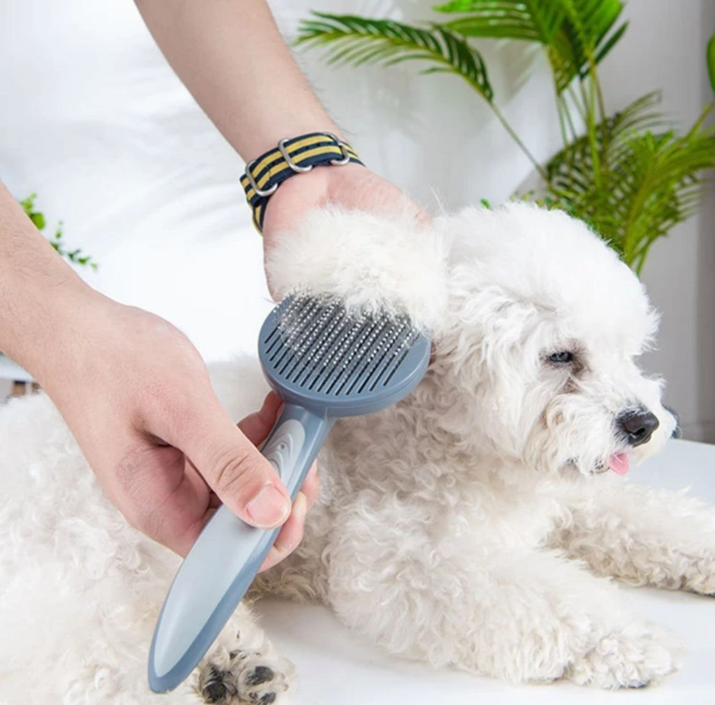 Cepillo Quita Pelos Perro