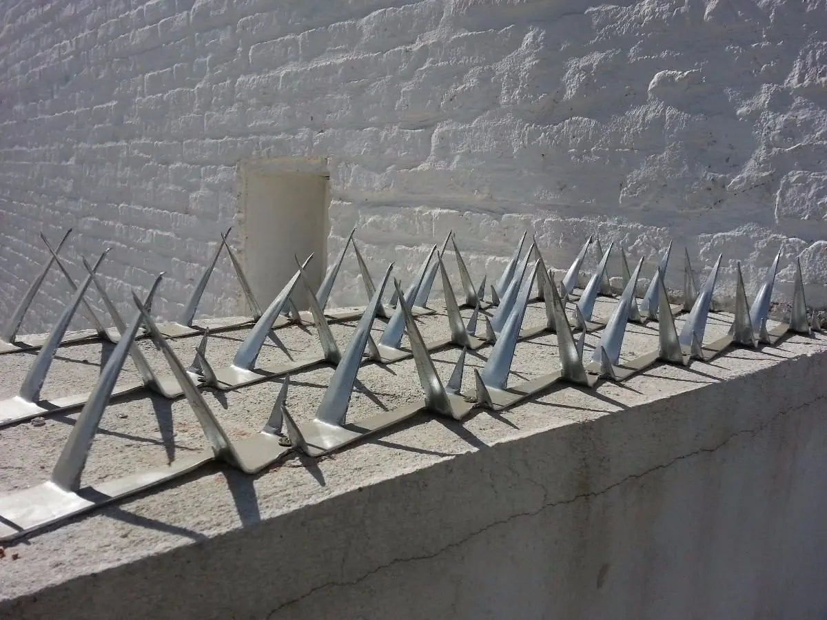 Pinchos Acero Galvanizado Muros Seguridad 1.25 Metros
