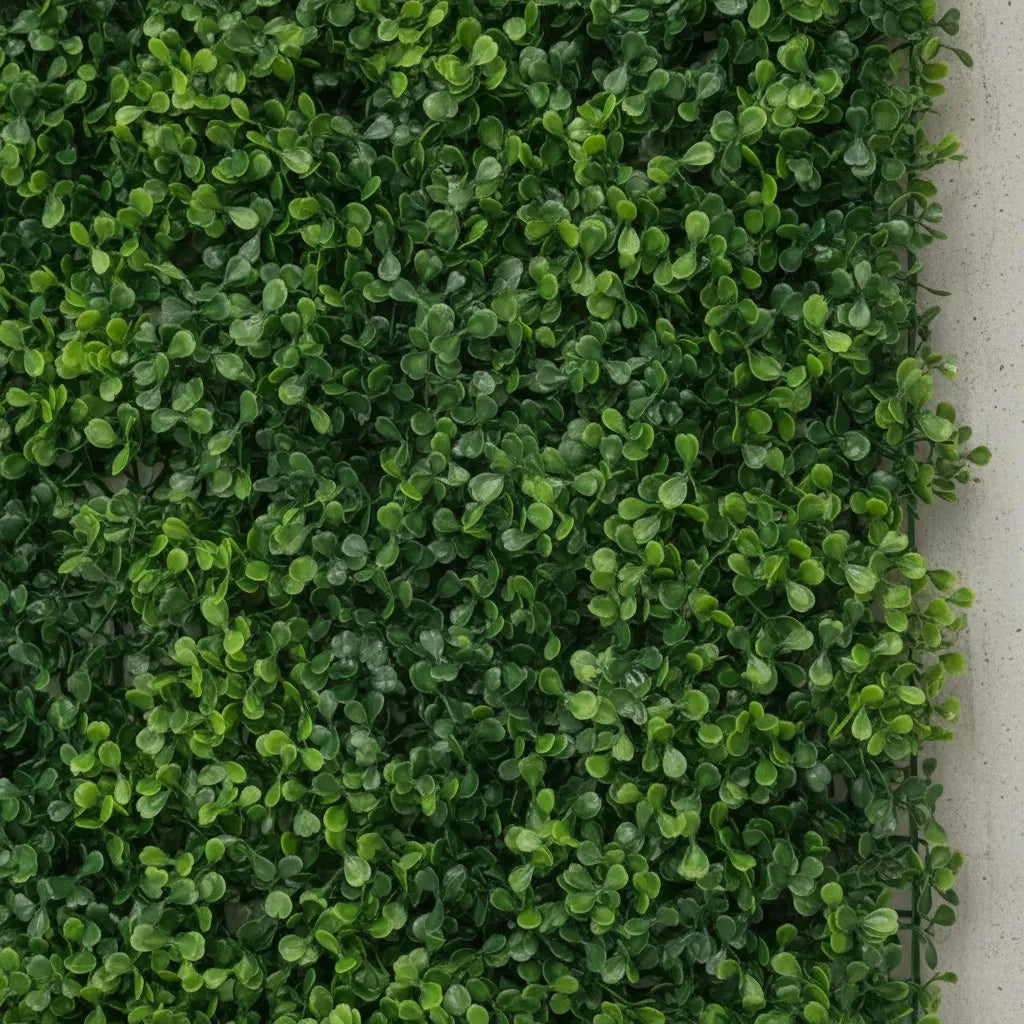 Pasto De Jardin Vertical De Calidad Muro Pared Panel 60x40cm