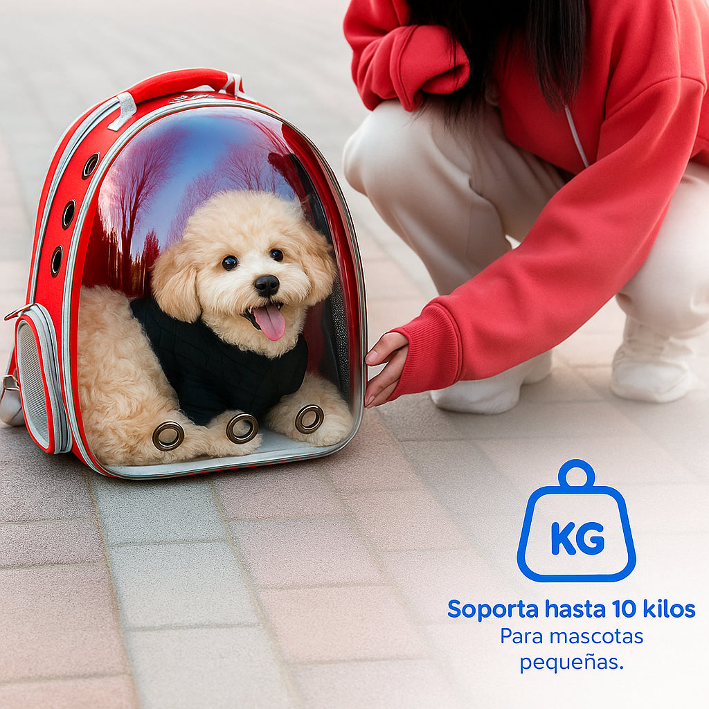 Mochila de Paseo Gato