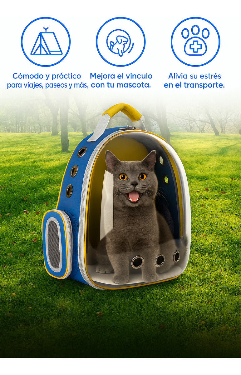 Mochila de Paseo Gato